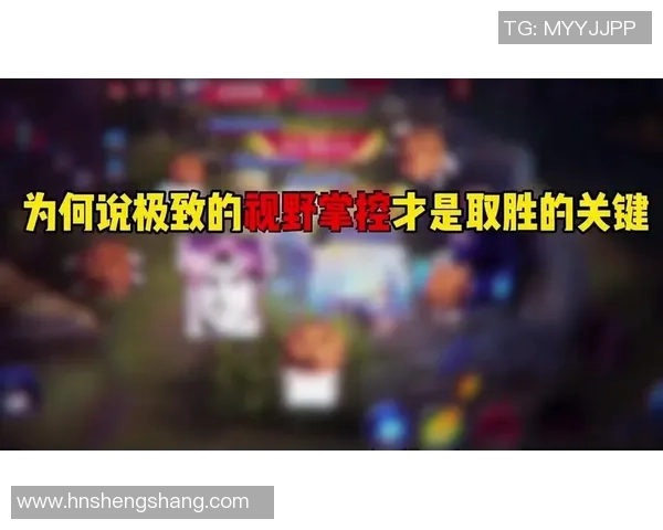 视野掌控让敌人无处藏身的策略解析与实战技巧分享